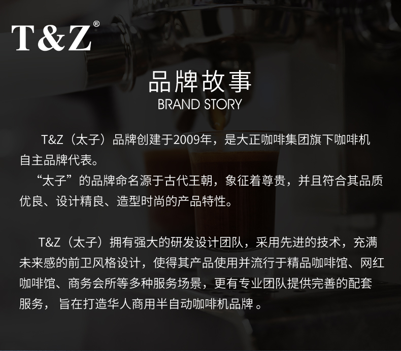 T&Z 太子KT3商用意式半自动咖啡机 